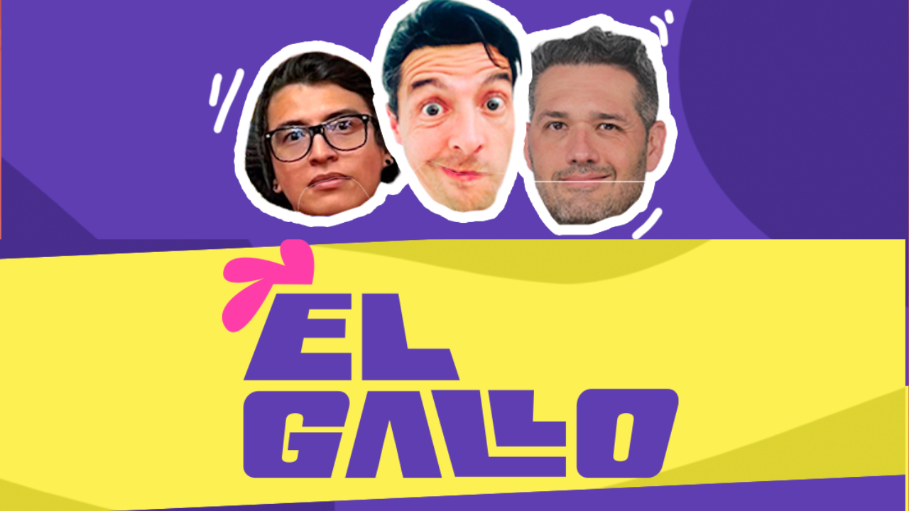 Newsletter El Gallo
